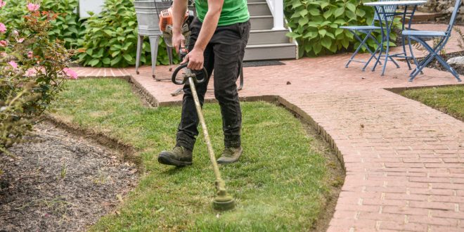 Professional Landscaping Services