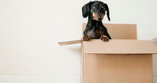 Smooth House Shifting