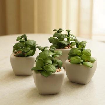 plant