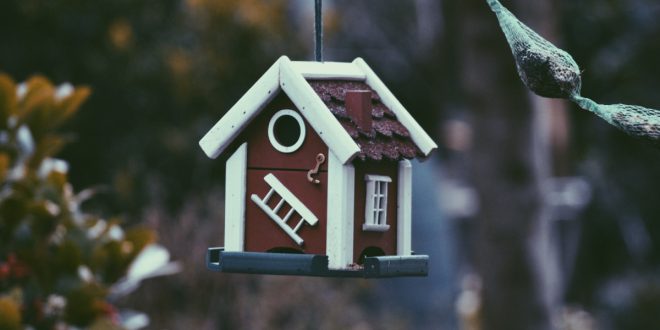 Maximize Your ROI with the Top Real Estate Marketing Tools