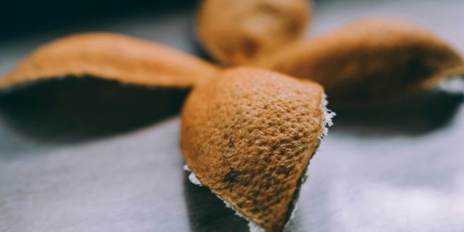 Eat Your Peels: Unlocking the Nutritional Benefits