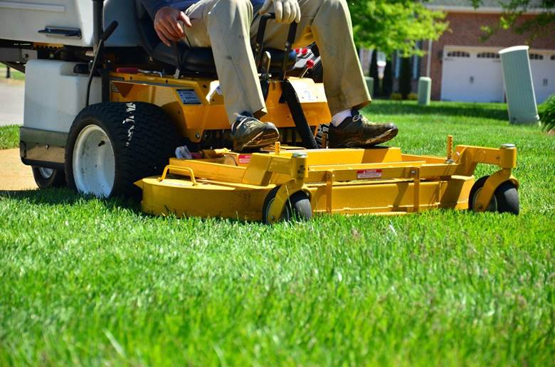 Lawn Restoration