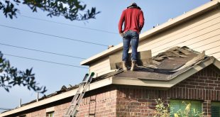 How Roofing and Siding Contractors Can Transform Your Home