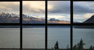 Window