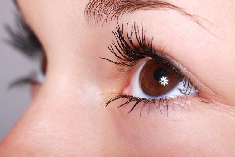 Eyelid