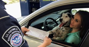 traffic ticket defense