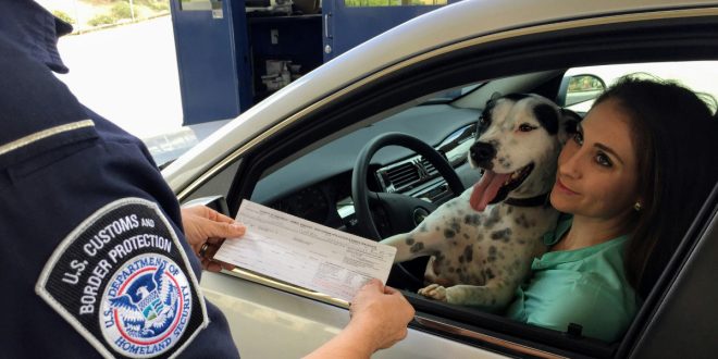 traffic ticket defense