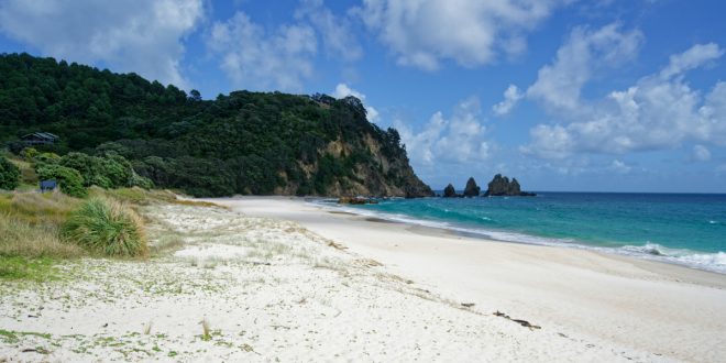 north island billetter og adgangskort