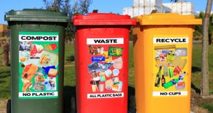 Skip Hire