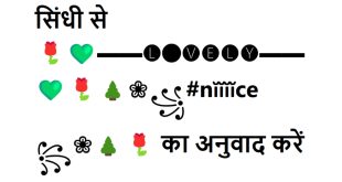 सिंधी से 🌹💚▬▬🅛🔴🅥🅔🅛🅨▬▬💚🌹🌲❀꧁#nĭĭĭĭce ꧂❀🌲🌹 का अनुवाद करें