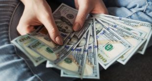 Earn Money with Zingyzon