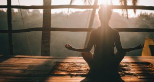 Wellness Strategies