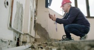 Mold remediation