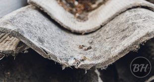 Asbestos