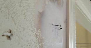 Mold