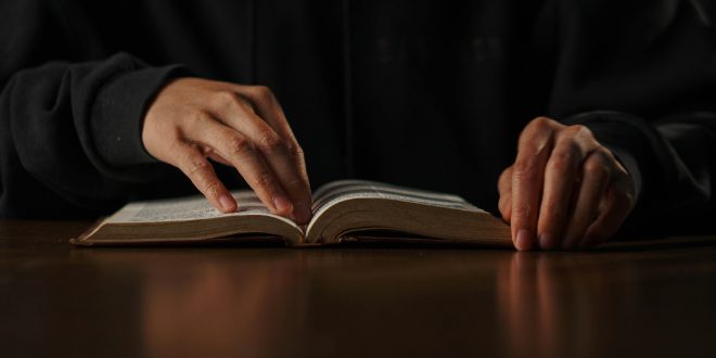 Severance Agreement Lawyer