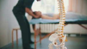 Chiropractor