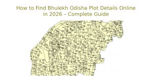 Bhulekh Odisha Plot Details