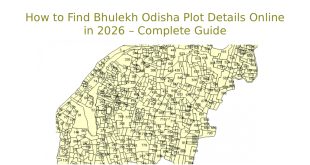 Bhulekh Odisha Plot Details