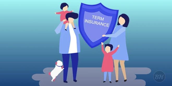 Term Insurance