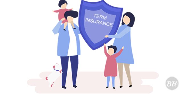 Term Life Insurance Online