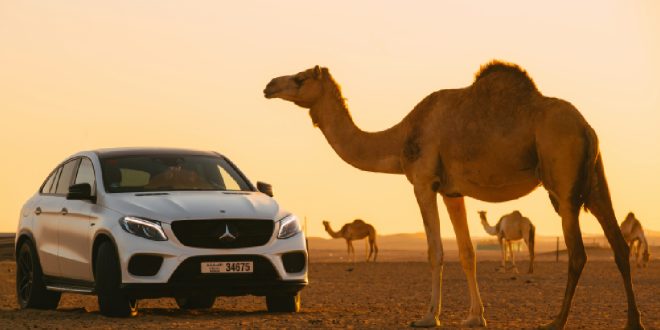 Car Rental Dubai #Oneclickdrive