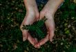 Environmental Sustainability