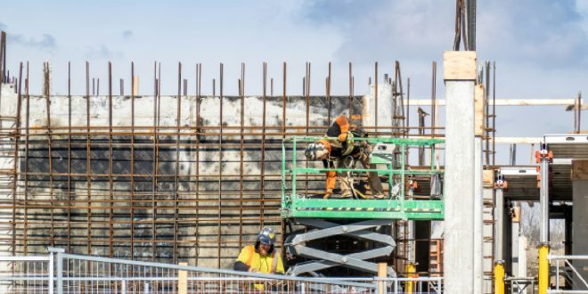 Skilled Laborers