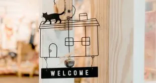 Artwork Cat Close Up 1406282