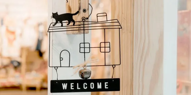 Artwork Cat Close Up 1406282