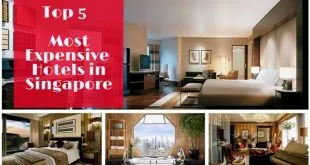 Top 5 Expensive and Luxurious Hotels in Singapore