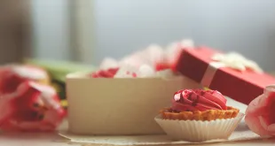 Cupcakes Boxes Wholesale