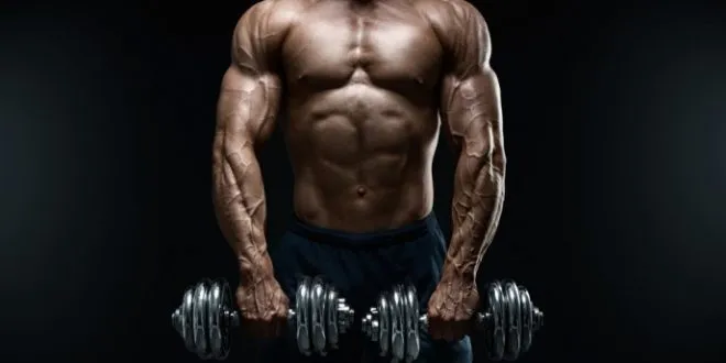 Dianabol Information