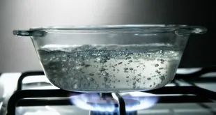 Boil Water