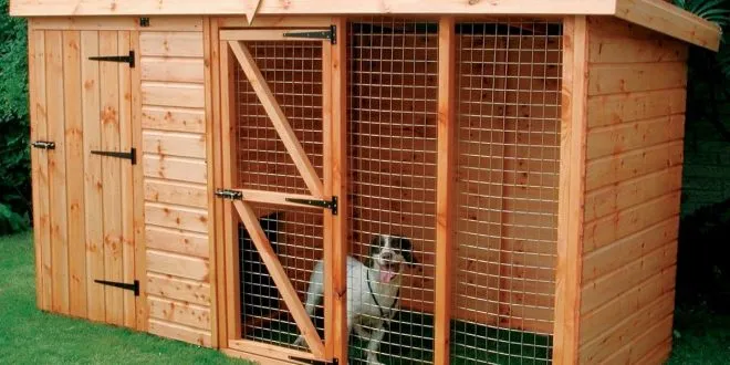 Kennel