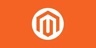 Magneto Data Entry Services