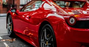 Qualities of a Great Rental Service