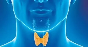 Thyroid