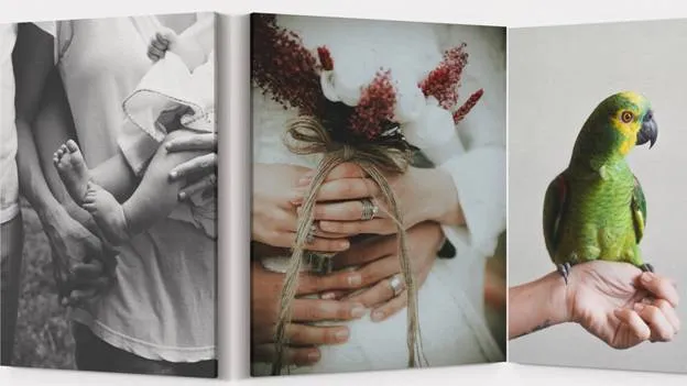 Photos, Prints and Pictures for Canvas
