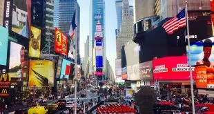 The New York City Guide