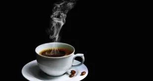 Brewing the Perfect Cup of Coffee