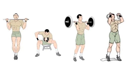 Best Muscle Mass Gaining Exercises