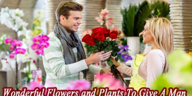Top 8 Wonderful Flowers and Plants To Give A Man