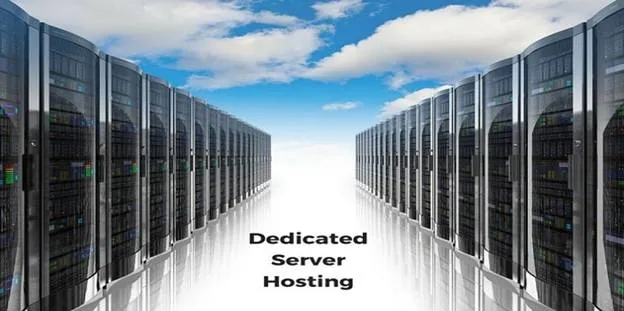Hosting Business