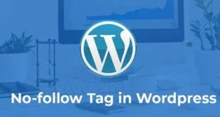 When and How to Use Nofollow Tag in WordPress