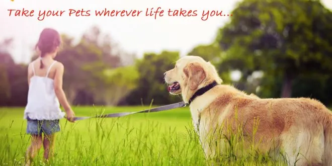 Pet Transportation