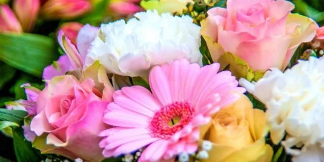 Flowers