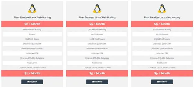Hosting Plans