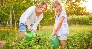 Garden Activities for Kids