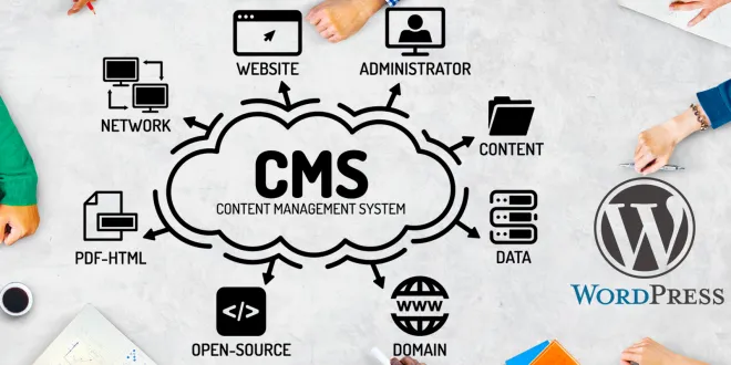 CMS Development Company in India
